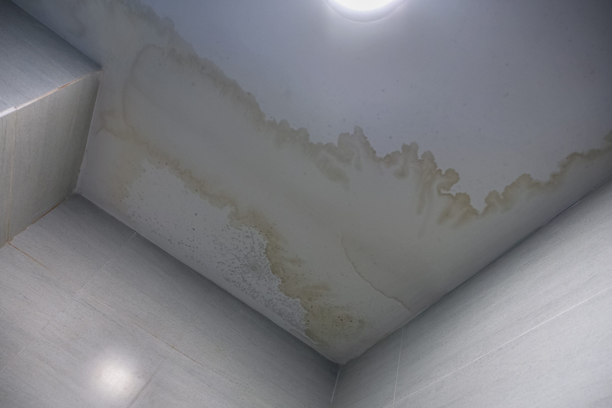 Roof Leakages Or Condensation
